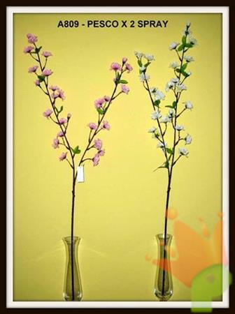 FIORI DI PESCO