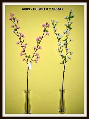 FIORI DI PESCO