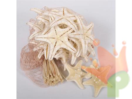 STELLA 20PZ 3/5CM BIANCA IN RETE