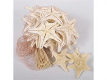 STELLA 20PZ 3/5CM BIANCA IN RETE