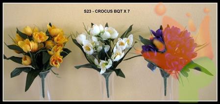 CROCUS BOUQUET