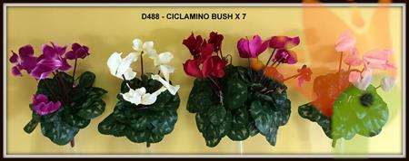 CICLAMINO BUSH