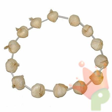 COLLANA AGLIO IN PLASTICA