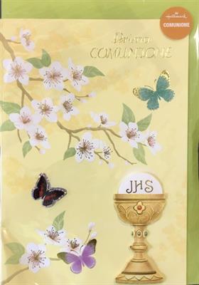 BIGLIETTO PRIMA COMUNIONE 123330