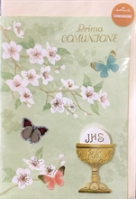 BIGLIETTO PRIMA COMUNIONE 123329