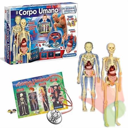 IL CORPO UMANO