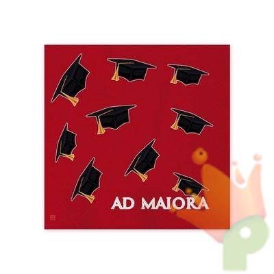 TOVAGLIOLI AD MAIORA 25X25CM 16PZ