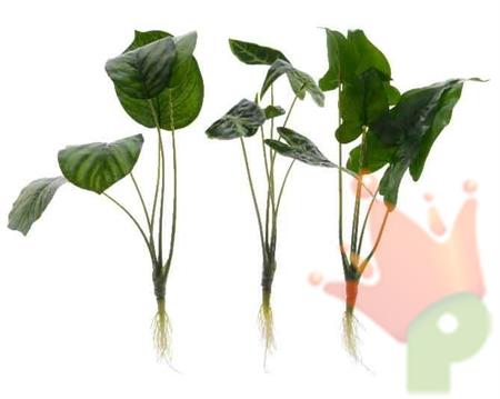 FOGLIE 3ASS CON RADICE 38CM