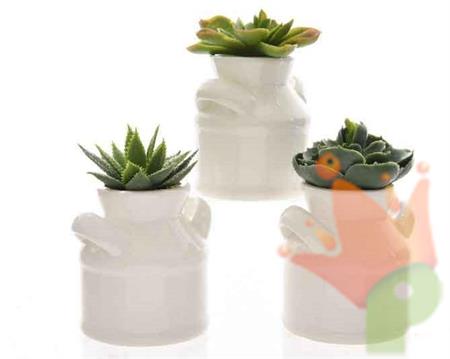 PIANTA GRASSA CON VASO CERAMICA 7X12CM