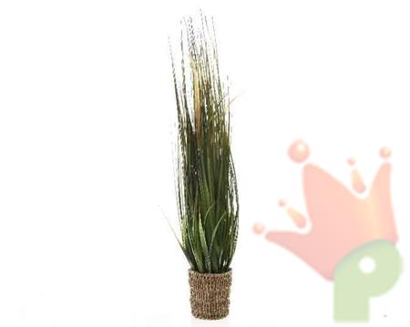 ERBA IN CESTINO 80CM