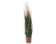 ERBA IN CESTINO 80CM