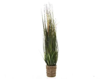 ERBA IN CESTINO 80CM