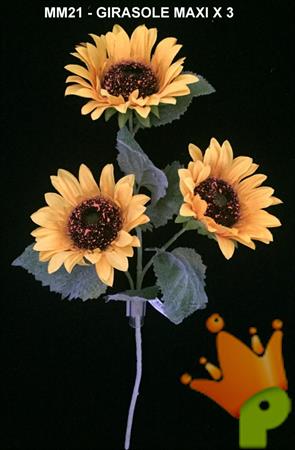 GIRASOLE SPRAY X3