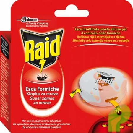 INSETTICIDA RAID ESCA FORMICHE