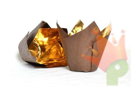 PIROTTINI TULIP 50X80XH.50MM 24PZ