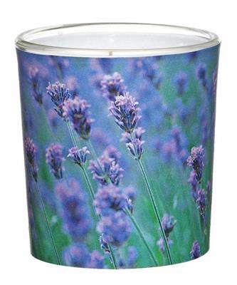 CANDELA VASO IN VETRO D.7,1X7,8CM VANILLE-LAVENDEL