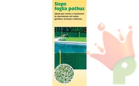 SIEPE FOGLIA POTHUS 100X300CM