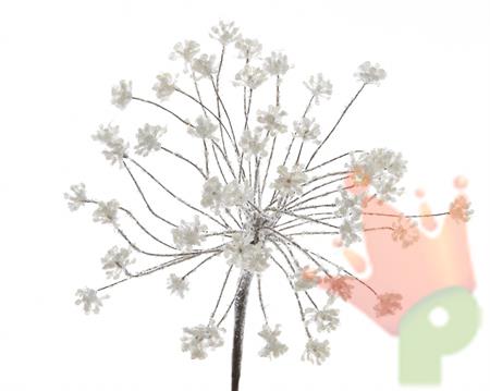 FIORE DI FINOCCHIO INNEVATO dia20x67cm