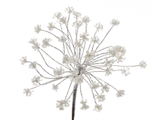 FIORE DI FINOCCHIO INNEVATO dia20x67cm