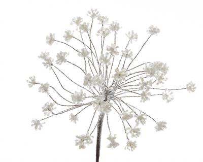 FIORE DI FINOCCHIO INNEVATO dia20x67cm