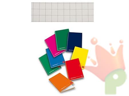 QUADERNO MAXI CARTONATO PIGNA COLOURS 10MM