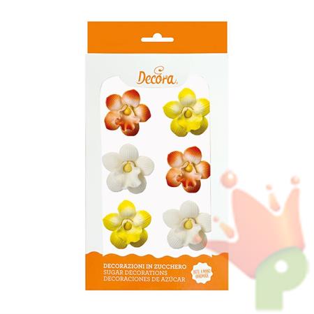 MINI ORCHIDEE IN ZUCCHERO 6PZ