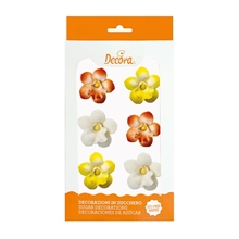 MINI ORCHIDEE IN ZUCCHERO 6PZ