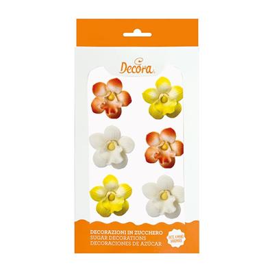 MINI ORCHIDEE IN ZUCCHERO 6PZ