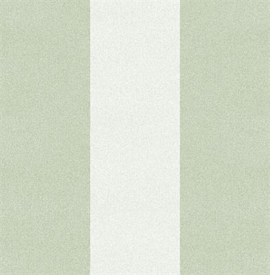 TOVAGLIA AIRLAID 1X1MT VARENNA VERDE 25PZ