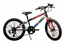 BICICLETTA 20 MTB BOY