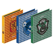 RACCOGLITORE ARCHIVIA D. 30 HARRY POTTER