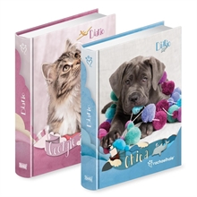 DIARIO CARTONATO NON DATATO COLOUR RHALE