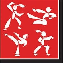 TOVAGLIOLI 33x33 CINTURA NERA JUDO 20pz
