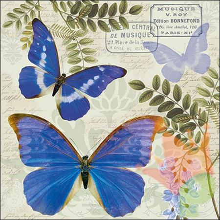 TOVAGLIOLI 33X33 3V BLUE MORPHO 20PZ