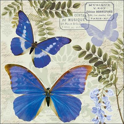 TOVAGLIOLI 33X33 3V BLUE MORPHO 20PZ