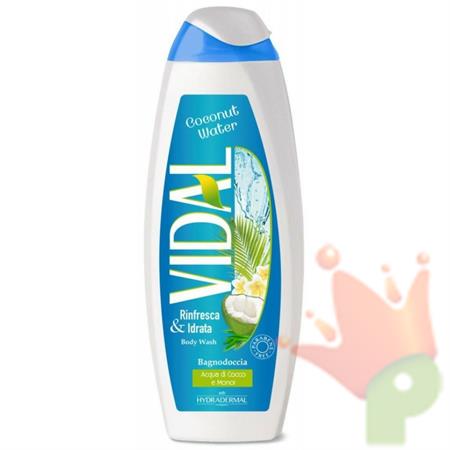 BAGNO SCHIUMA VIDAL 500ML COCNUT WATER