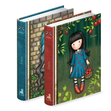 DIARIO 13X17,7CM NO DAT