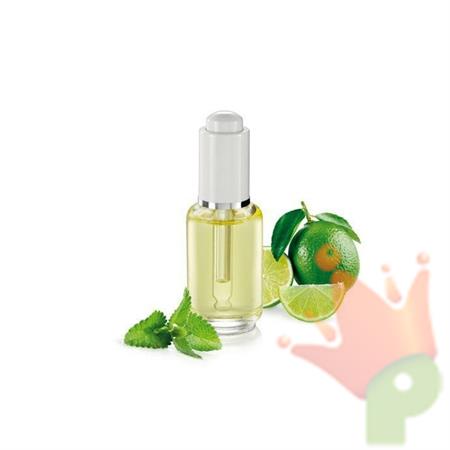 OLIO ESSENZIALE MOJITO 30ML FANCY HOME