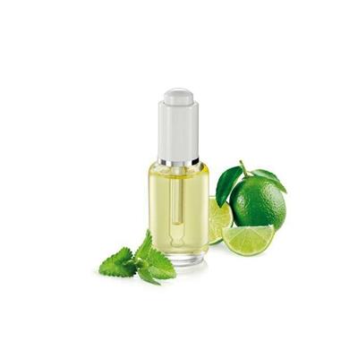 OLIO ESSENZIALE MOJITO 30ML FANCY HOME