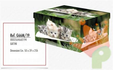 SCATOLA CAMBIO STAGIONE GATTI 50X39X25CM