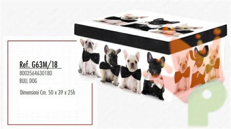 SCATOLA CAMBIO STAGIONE BULLDOG 50X39X25CM