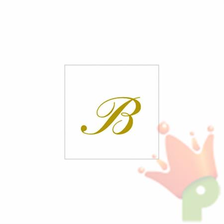 TOVAGLIOLI LETTERA B  25X25 2O PZ