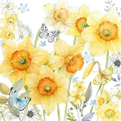 TOVAGLIOLI 33X33 CLASSIC DAFFODILS 20PZ