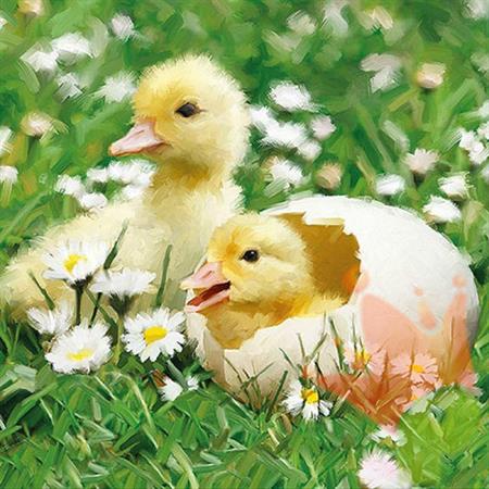 TOVAGLIOLI 33X33 WALKING EASTER BUNNY 20PZ