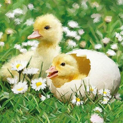 TOVAGLIOLI 33X33 WALKING EASTER BUNNY 20PZ