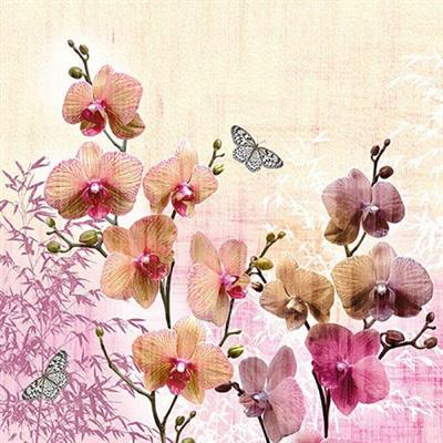 TOVAGLIOLI 33X33 3V ORCHIDS ORIENT 20PZ