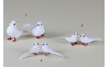 COLOMBA PIUMA 8 CM ALI CHIUSE 24 PZ N°3