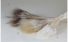 SPIGHE NATURALI H. 90/100 CM 400gr circa N. 002
