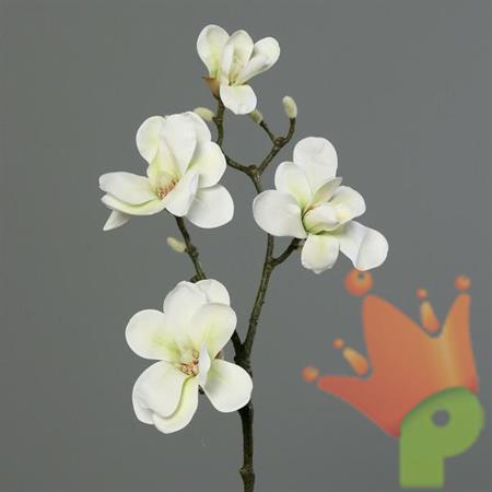 MAGNOLIA SPRAY 80CM CREMA