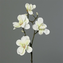MAGNOLIA SPRAY 80CM CREMA
